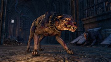 Immagine -9 del gioco The Elder Scrolls Online: Greymoor per Xbox One